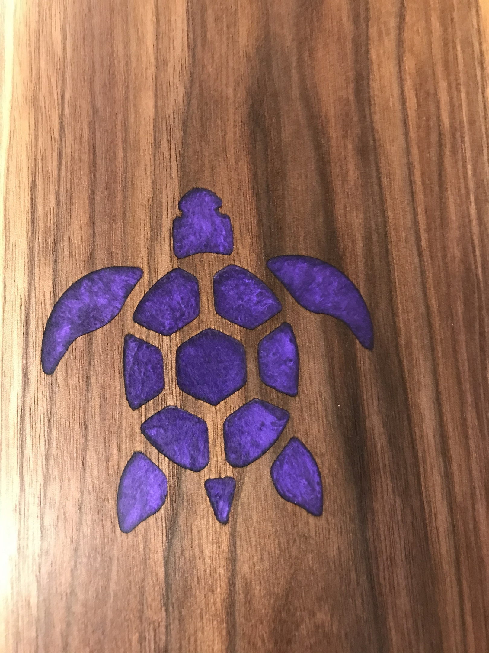 coloured design mockup